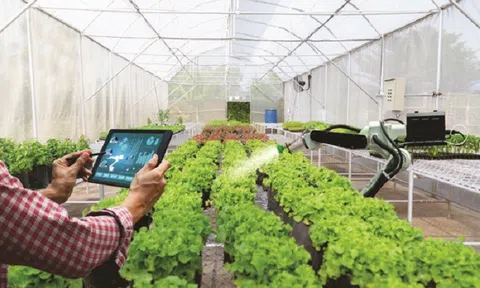 Hà Nội tập trung nguồn lực đẩy mạnh phát triển nông nghiệp ứng dụng công nghệ cao