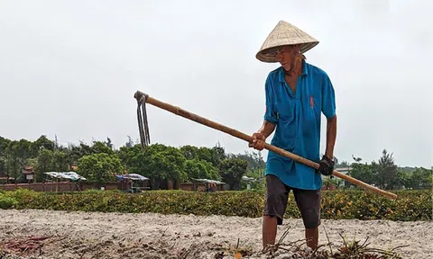 Nguy cơ thoái hóa đất nông nghiệp và phương án để cải thiện