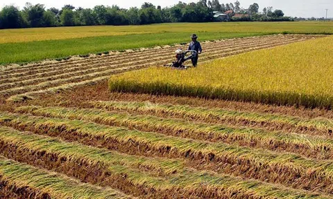 Những quy định mới về tính tiền sử dụng đất và đơn giá thuê đất