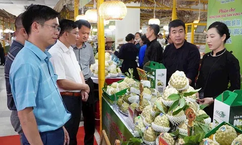 Độc đáo Phiên chợ OCOP 3 miền giữa lòng Thủ đô