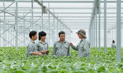 Kinh tế hợp tác phải chuyển đổi hoạt động sản xuất kinh doanh để gia tăng giá trị