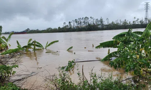 Hưng Yên rút lệnh báo động 2 trên sông Luộc