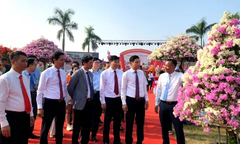 Lung linh Sắc hoa trên miền di sản