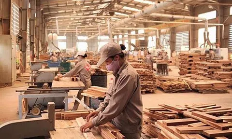 Năm 2024, xuất khẩu gỗ và sản phẩm gỗ của Việt Nam phấn đấu đạt trên 16,2 tỷ USD