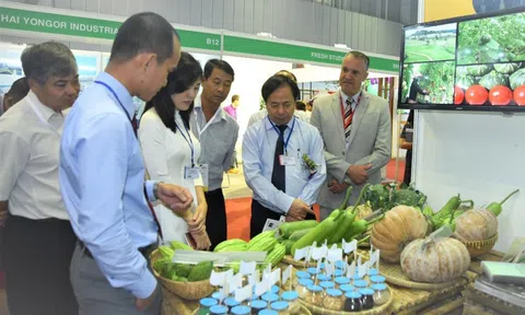 Xuất khẩu rau quả năm nay sẽ đạt 7,2 tỷ USD