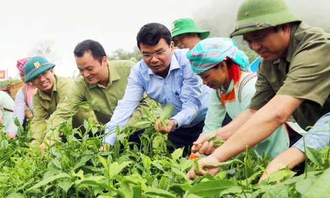 Lào Cai phấn đấu giảm nghèo nhanh và bền vững, đến năm 2030 cơ bản không có hộ nghèo