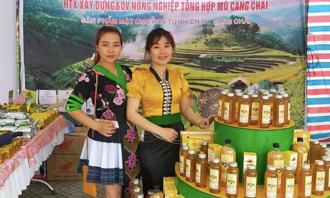 HTX Yên Bái hướng tới chuỗi giá trị hàng hóa chủ lực, xây dựng mô hình kinh tế xanh