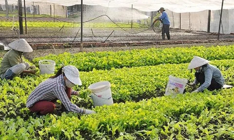 Nông nghiệp hướng tới bền vững thân thiện môi trường, góp phần làm giảm khí thải