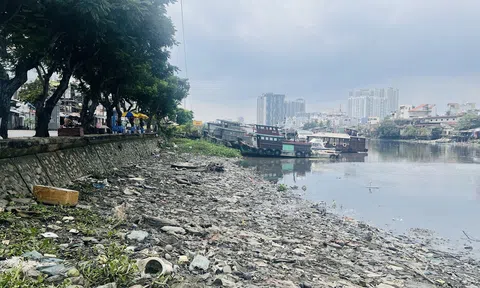 TP. Hồ Chí Minh: Chuyển hóa điểm ô nhiễm thành công trình xanh