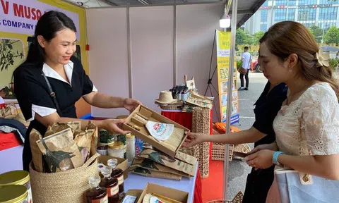 Xu hướng xanh "lên ngôi" từ ý thức của người tiêu dùng