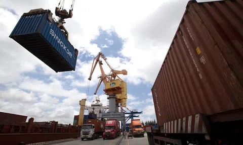 Sự "trỗi dậy" của doanh nghiệp nội địa về tăng trưởng xuất khẩu