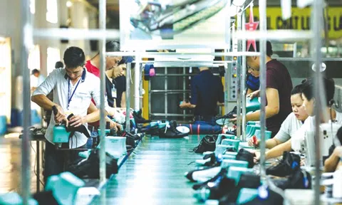 Kỳ vọng chính sách mới khai thông dòng vốn xanh