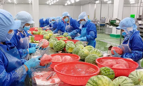 Nghiêm cấm lợi dụng thanh tra, kiểm tra để gây khó khăn cho doanh nghiệp