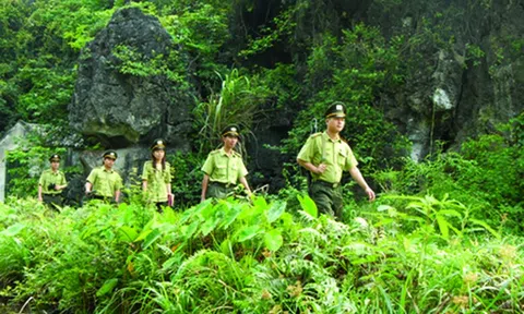 Kỷ niệm 52 năm Ngày thành lập Kiểm lâm Việt Nam