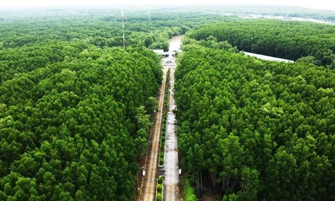 “Mỏ vàng” tín chỉ carbon xanh chưa được khai thác