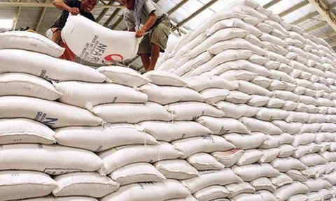 Lên kế hoạch mua 11.640  tấn gạo dự trữ quốc gia năm 2025