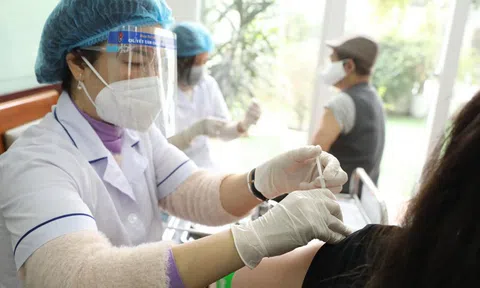 Bộ Y tế đánh giá nguy cơ bệnh Covid-19 tại Việt Nam