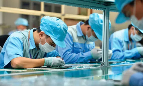 Gần 65% doanh nghiệp "mơ hồ" về chuỗi giá trị toàn cầu