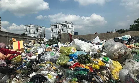 "Nếu không phân loại rác tại nguồn sẽ không có chất thải giá trị"