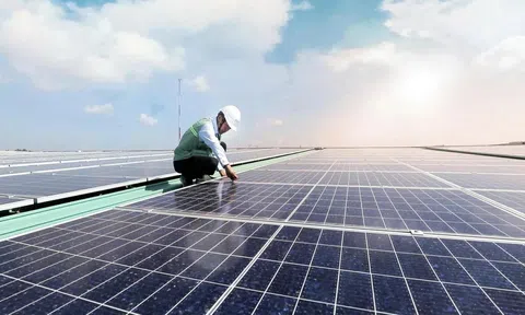Tháo gỡ nút thắt trong tiến trình chuyển đổi năng lượng xanh