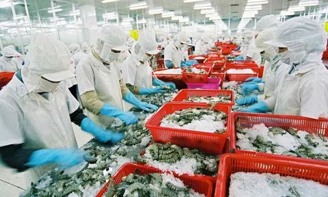 Hoa Kỳ là thị trường xuất khẩu chủ lực nông, lâm, thủy sản của Việt Nam 5 tháng đầu năm