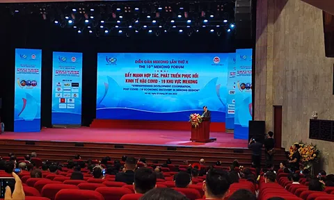 Đẩy mạnh hợp tác phát triển, phục hồi kinh tế hậu Covid-19 khu vực Mekong