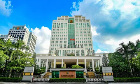 Cấp tốc báo cáo công tác bảo vệ môi trường