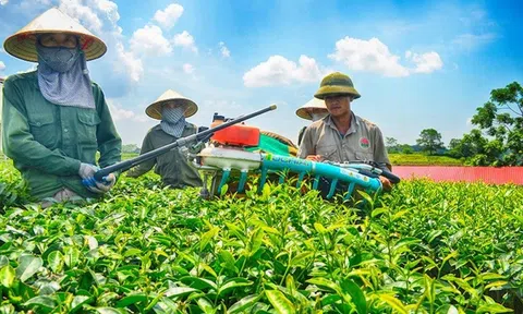 "Phá băng" cho ngành Nông nghiệp từ nâng cao năng lực sản xuất của nông dân