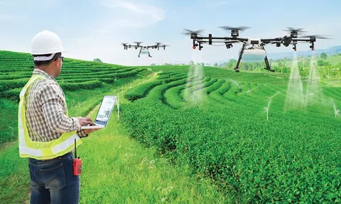 Cần siết chặt quản lý thiết bị drone trong nông nghiệp