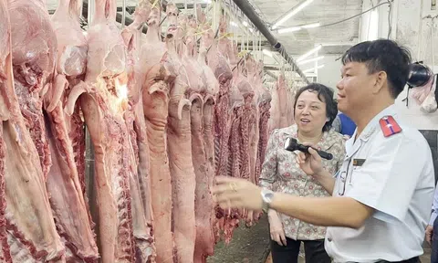 "Truy" nguyên nhân khiến lợn hơi tăng giá bất thường