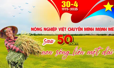 Nông nghiệp Việt chuyển mình mạnh mẽ sau 50 năm non sông liền một dải