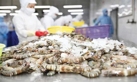 Sản lượng thủy sản tiếp tục tăng trong tháng 4 và 4 tháng đầu năm 2025