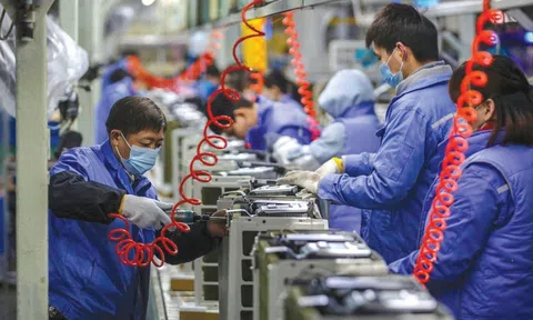 Thấy gì từ số lượng doanh nghiệp thành lập mới tăng mạnh trong những tháng đầu năm?