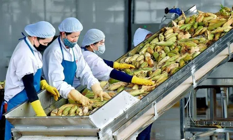 Thủ tướng yêu cầu thực hiện các giải pháp tiêu thụ và xuất khẩu nông sản