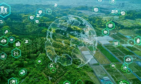 Chi phí môi trường ẩn sau mỗi lần sử dụng AI