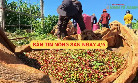 Bản tin nông sản ngày 4/6