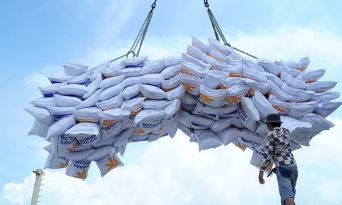 Áp dụng công nghệ canh tác mới, hướng tới “gạo xanh” xuất khẩu