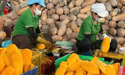 Hơn 28 tỷ USD thu về từ xuất khẩu nông, lâm, thủy sản trong 5 tháng đầu năm