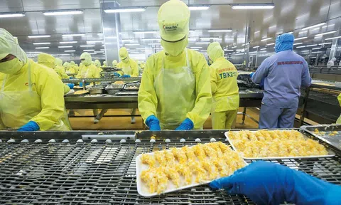 Không áp thuế 46% lên nông sản: Thêm động lực thúc đẩy hợp tác Việt Nam - Ohio