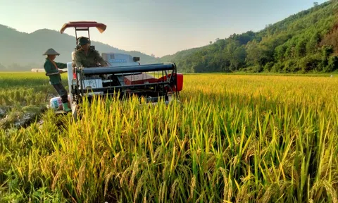 Miễn thuế đất nông nghiệp: Cần rà soát lại đối tượng thụ hưởng