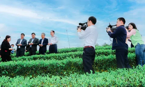 Vai trò của báo chí trong việc lan tỏa thông điệp Xanh