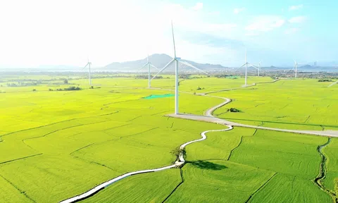 Kinh tế xanh ở Việt Nam: Thách thức và những cơ hội phát triển