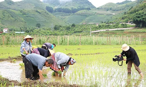 Sức lan tỏa của kinh tế xanh qua báo chí: Kiến tạo nhận thức, thúc đẩy hành động