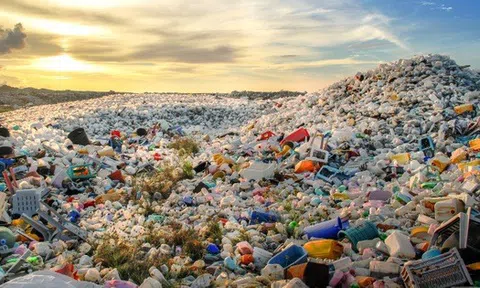 Đa dạng hóa hệ sinh thái đổi mới sáng tạo để giảm rác thải nhựa