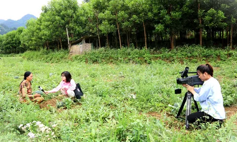 Ngòi bút xanh lan tỏa hành động xanh