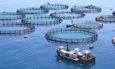 Người dân được UBND cấp xã giao biển nuôi thủy sản từ 1/7/2025