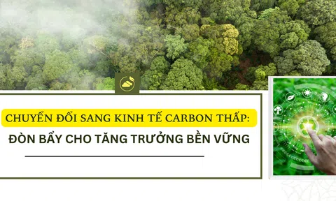 Chuyển đổi sang kinh tế carbon thấp: Đòn bẩy cho tăng trưởng bền vững