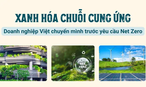 Xanh hóa chuỗi cung ứng: Doanh nghiệp Việt chuyển mình trước yêu cầu Net Zero