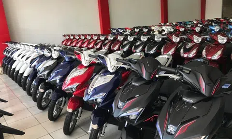 Giá xe máy Honda tháng 7/2025: Niêm yết ổn định, giá đại lý biến động tùy dòng