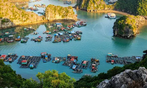 Khám phá 10 điểm đến ấn tượng không thể bỏ lỡ tại Cát Bà